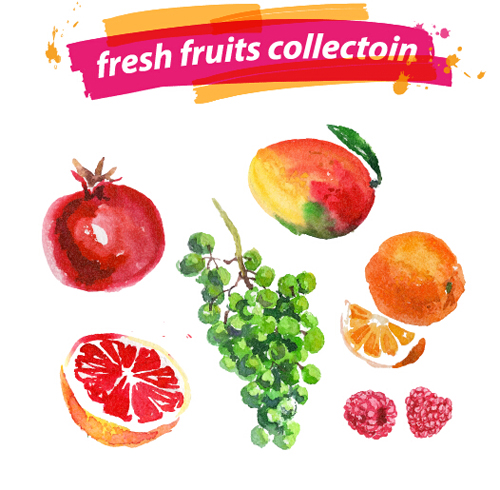 Watercolor fresh fruits set 09 vector watercolor fruits fresh   