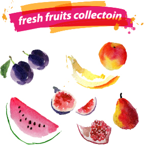 Watercolor fresh fruits set 04 vector watercolor fruits fresh   