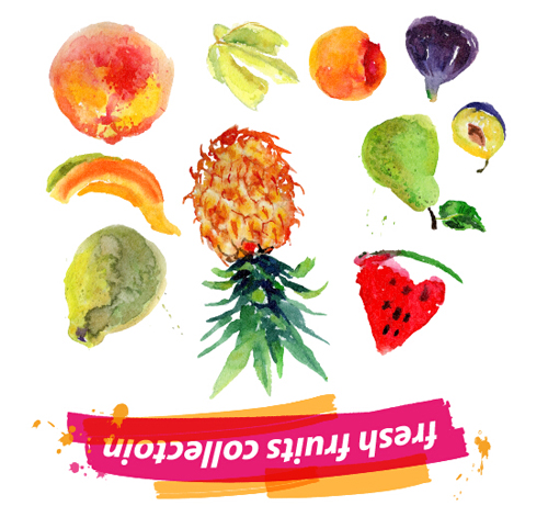 Watercolor fresh fruits set 10 vector watercolor fruits fresh   