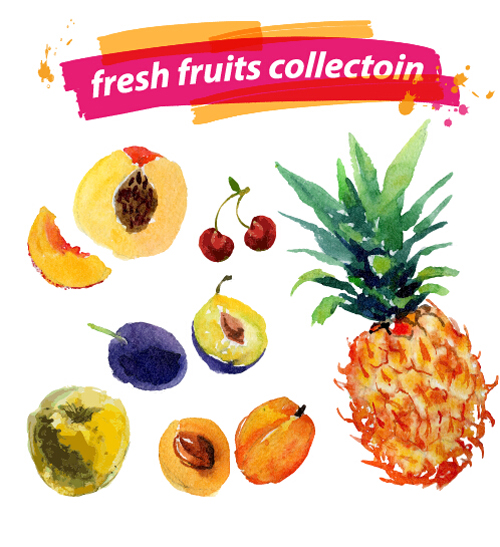 Watercolor fresh fruits set 05 vector watercolor fruits fresh   