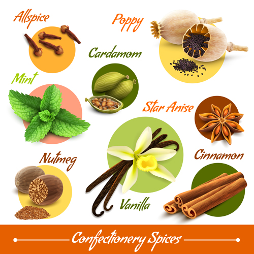 Different spices explain vector material spices material different   