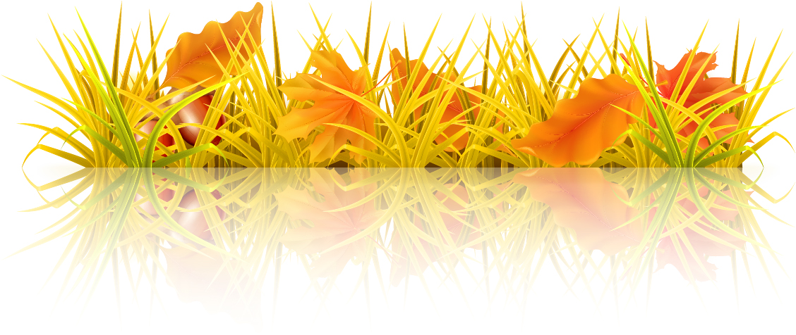 Beautiful autumn elements vector set 02 elements element beautiful autumn   