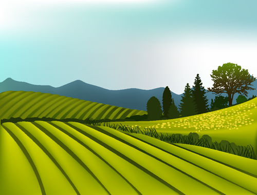 Beautiful fields landscapes vector set 13 landscape fields beautiful   