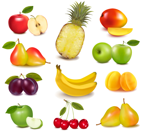 Fresh fruits realistic vector material 03 realistic fruits fresh   