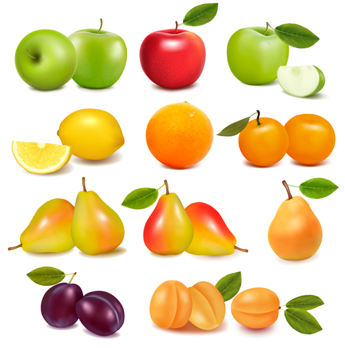 Fresh fruits realistic vector material 01 realistic fruits fresh   