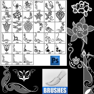 Floral Ornament Frames Photoshop Brushes photoshop ornament frames floral brushes   