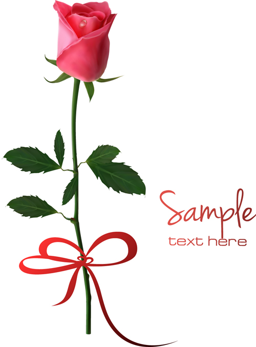 Set of Pretty rose elements vector 02 rose pretty elements element   