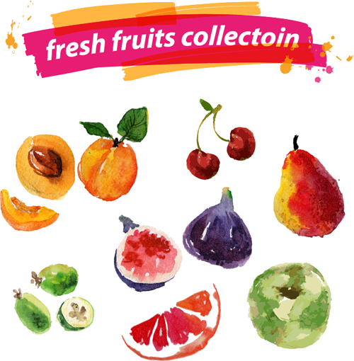 Watercolor fresh fruits set 02 vector watercolor fruits fresh   