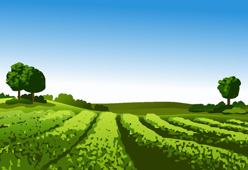 Beautiful fields landscapes vector set 20 landscape fields beautiful   