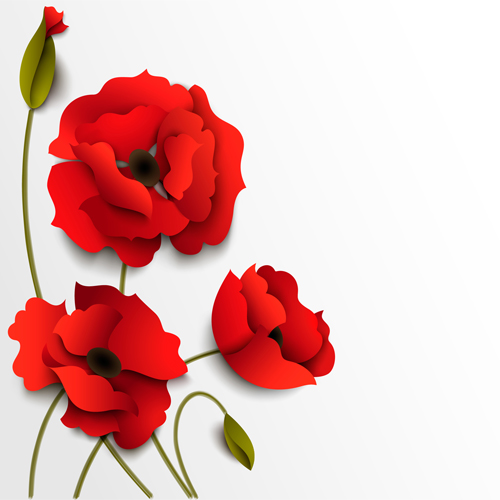 Red poppy with white background vector 02 poppy background vector background   