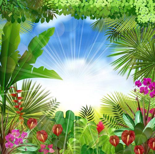 Beautiful tropical scenery vectors graphics 04 tropical scenery graphics beautiful   