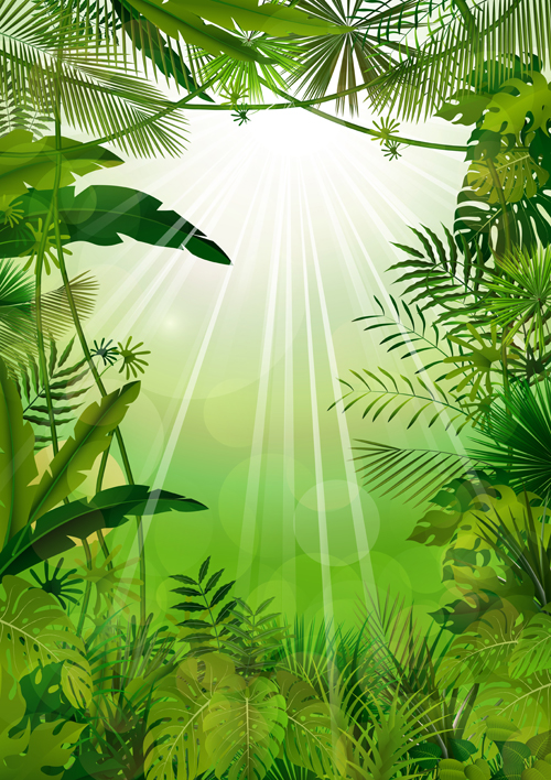 Beautiful tropical scenery vectors graphics 06 tropical scenery graphics beautiful   