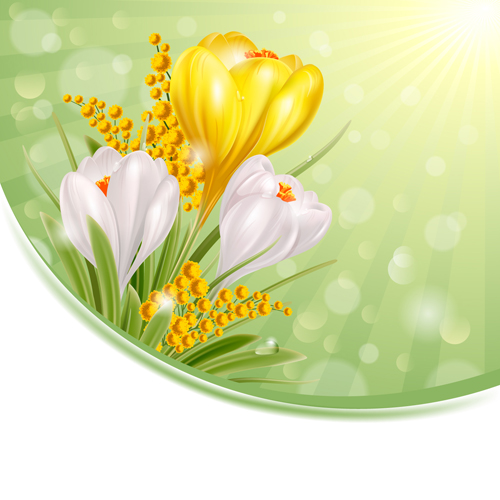 Shiny white with yellow flowers vectors background 01 yellow white shiny flowers background   