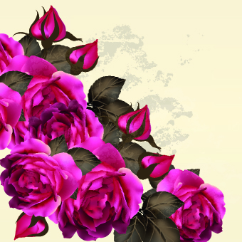 Vintage Purple Roses vector set 03 vintage Purple Rose purple flowers flower   