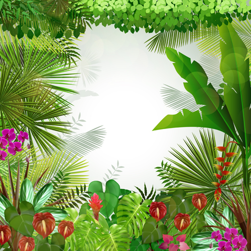 Beautiful tropical scenery vectors graphics 03 tropical scenery graphics beautiful   