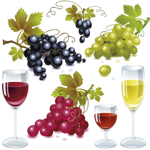 Grapes and grape wine elements vector 01 grapes grape wine elements element   