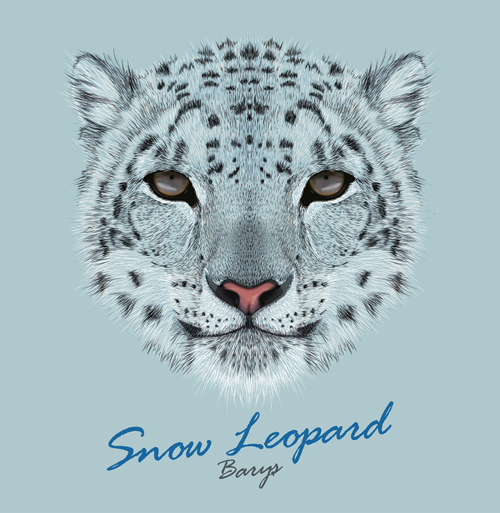 Beautiful snow leopard vector background snow leopard snow leopard beautiful background   