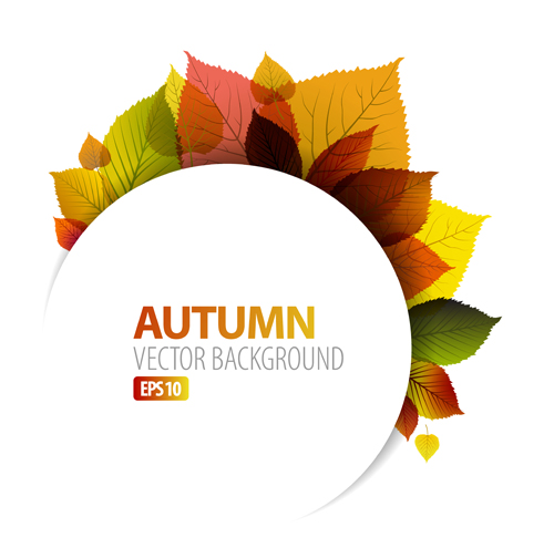 Set of charm Autumn backgrounds vector 05 charm autumn   