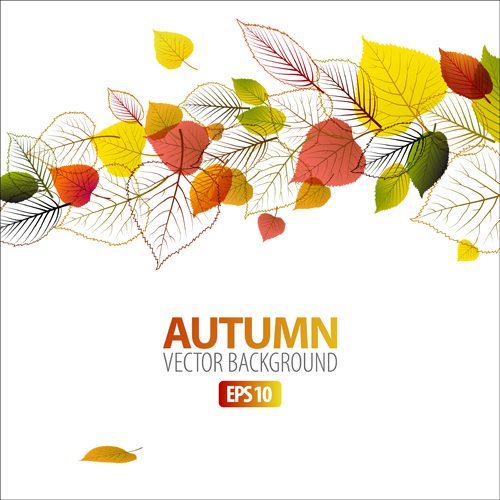 Set of charm Autumn backgrounds vector 04 charm autumn   