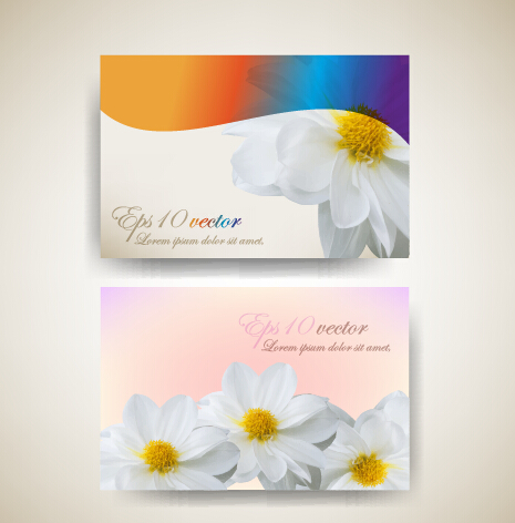 Beautiful flowers business cards material vector 01 business cards business card Beautiful flowers   