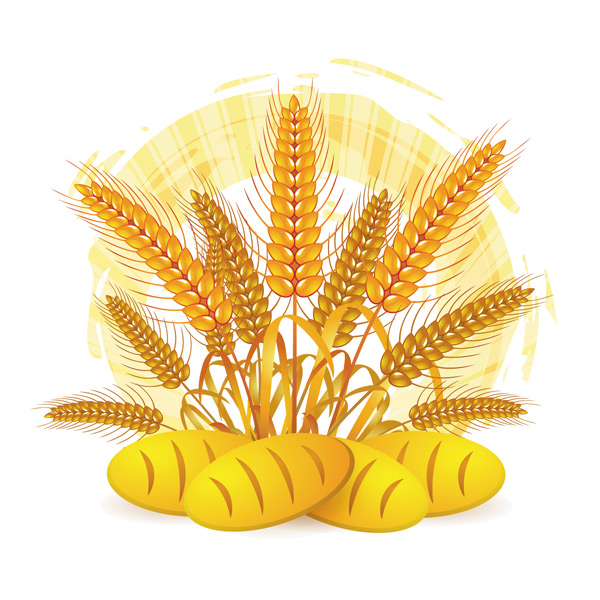 Wheat with bread vector material 03 wheat material bread   