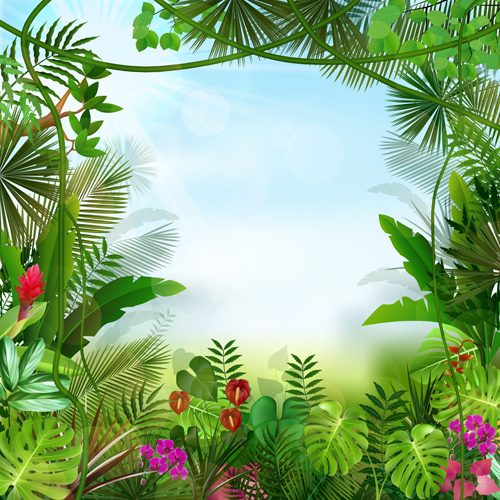 Beautiful tropical scenery vectors graphics 02 tropical scenery graphics beautiful   