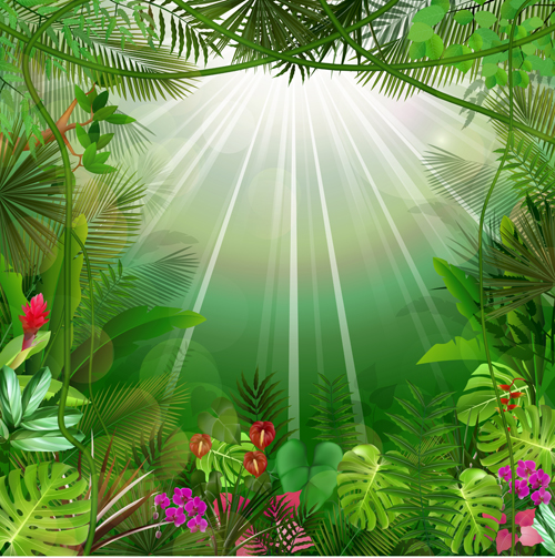 Beautiful tropical scenery vectors graphics 01 tropical scenery graphics beautiful   