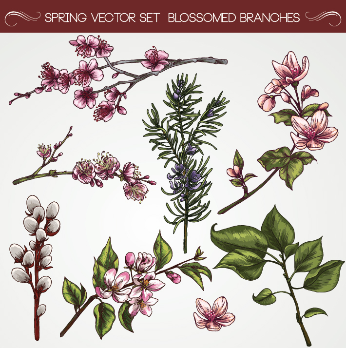 Set of Vintage flowers vector 03 vintage flowers flower   