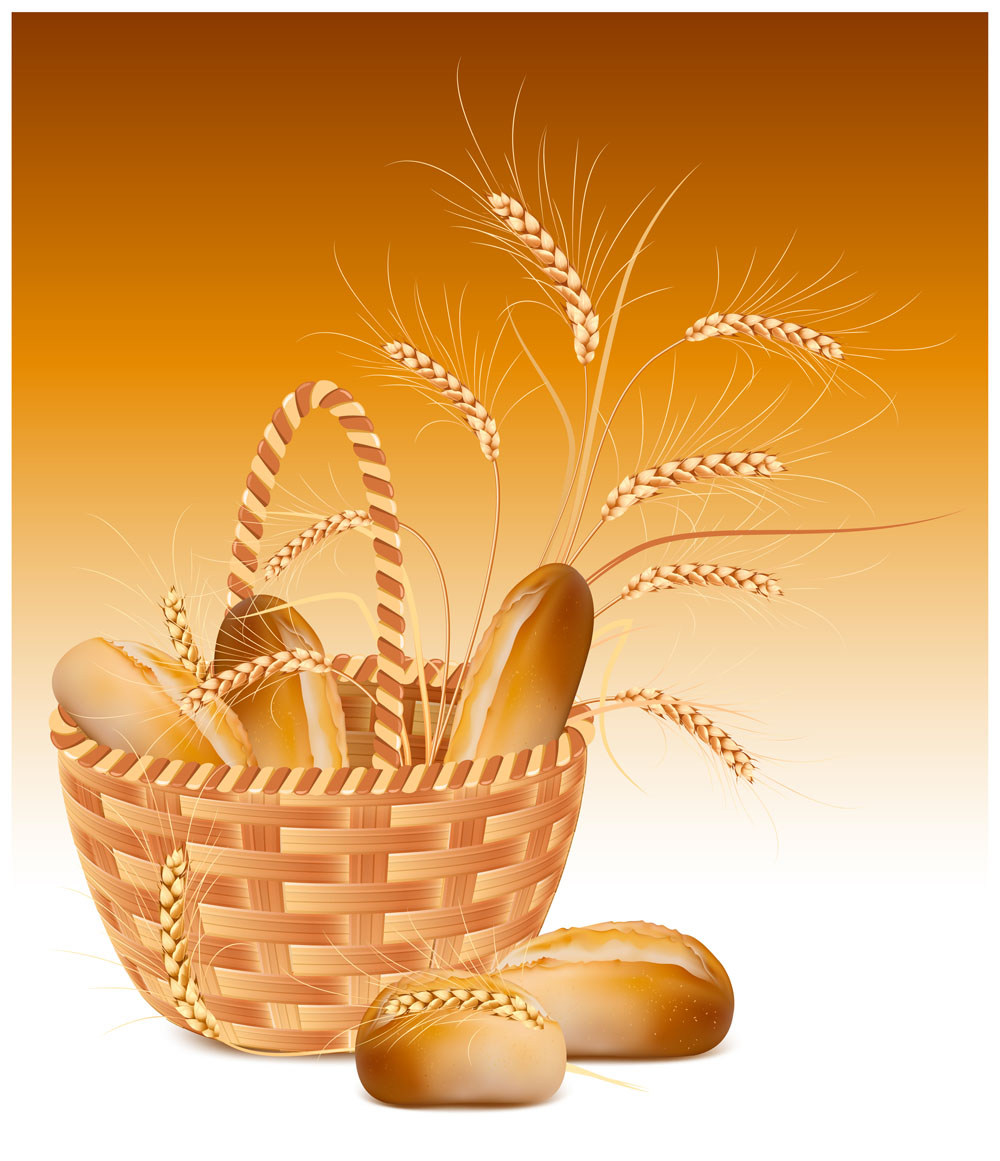 Wheat with bread vector material 01 wheat bread   