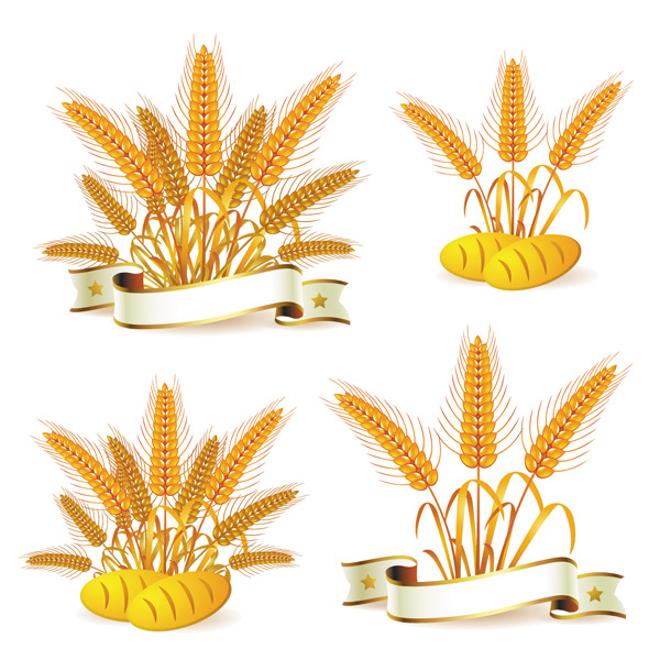 Wheat with bread vector material 02 wheat material bread   