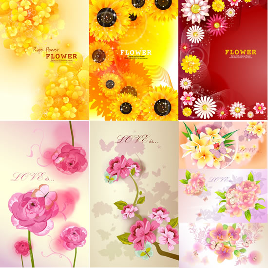 Flower background 94039 Sunflower chrysanthemum background Lily pictures flowers AI free download background   
