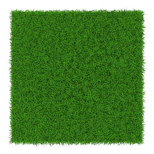 Refreshing green grass background vector 02 refresh green grass background   