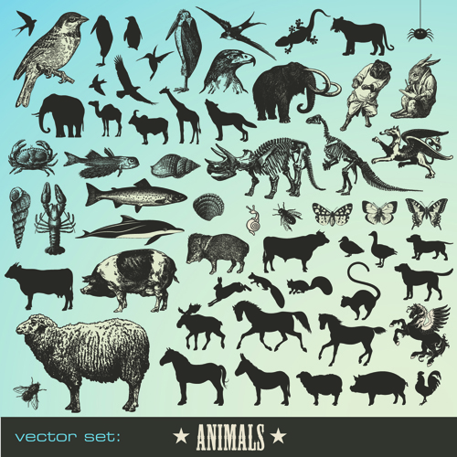 Various Animals Silhouettes design vector set 03 Various silhouettes silhouette Animal   