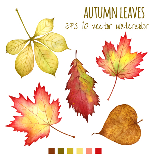 Various autumn leaves vector set material 04 Various autumn leaves autumn   