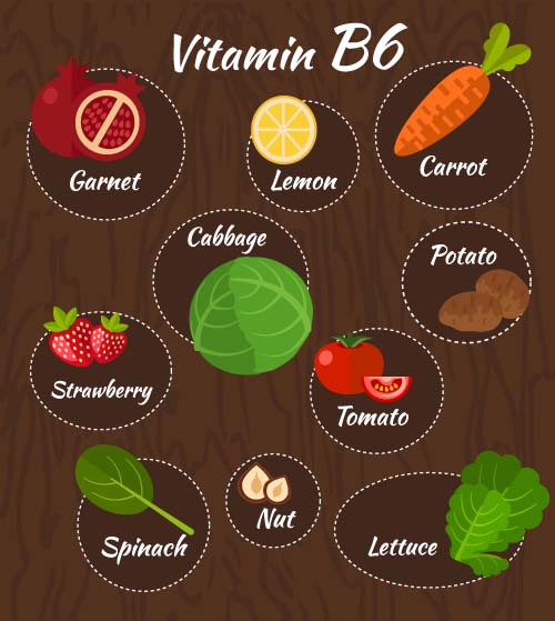 Vitamin with healthy diet vector material 08 vitamin Healthy diet   