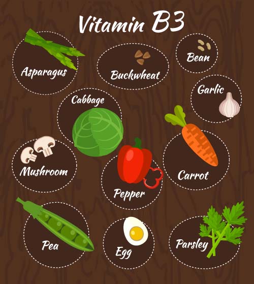 Vitamin with healthy diet vector material 06 vitamin Healthy diet   