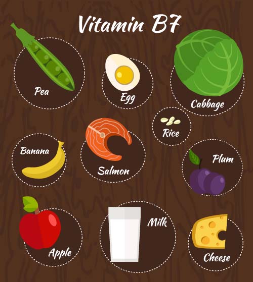 Vitamin with healthy diet vector material 07 vitamin Healthy diet   