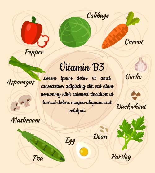 Vitamin with healthy diet vector material 03 vitamin Healthy diet   