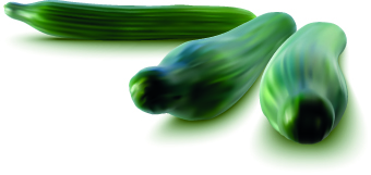 Realistic vegetables vector illustration vegetables vegetable vector illustration realistic   