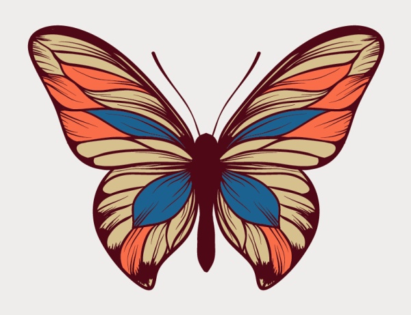 original design butterfly vector material original butterfly   