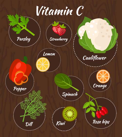 Vitamin with healthy diet vector material 01 vitamin Healthy diet   