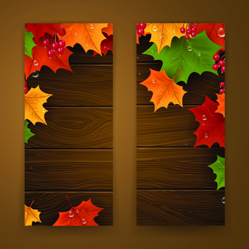 Banner autumn design vector banner autumn   