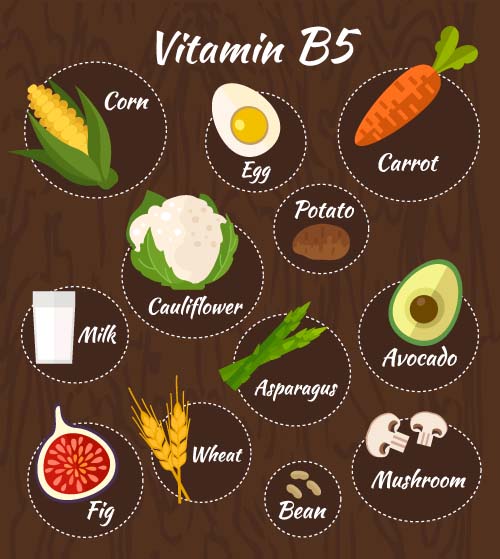Vitamin with healthy diet vector material 02 vitamin Healthy diet   