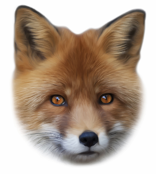 Realistic fox face design vector realistic fox face   