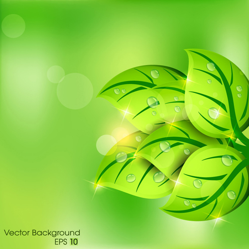 Shiny Green leaves background design vector 05 shiny leaves leave green   