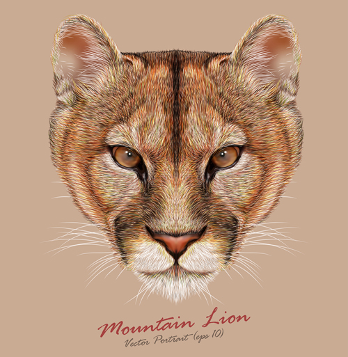 Mountain lion head background vector mountain lion head lion background   