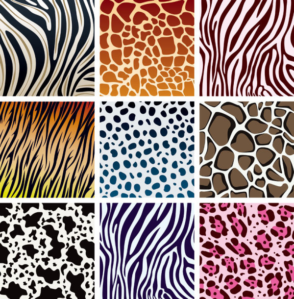 Set of Leopard Pattern vector 02 pattern vector pattern leopard   