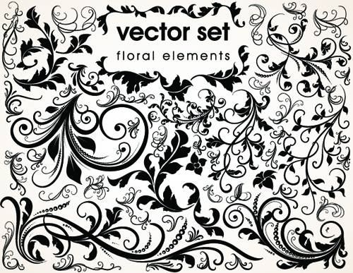 Floral Design Ornaments elements mix vector 03 ornaments ornament mix floral elements element   