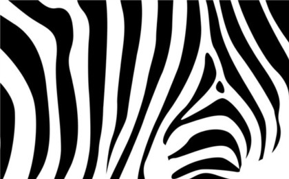 Zebra pattern textured vector zebra textured pattern   