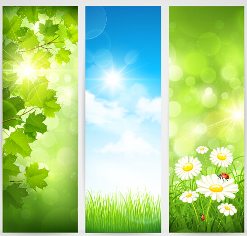 Green spring leaves banners set vector 01 spring leaves banners   